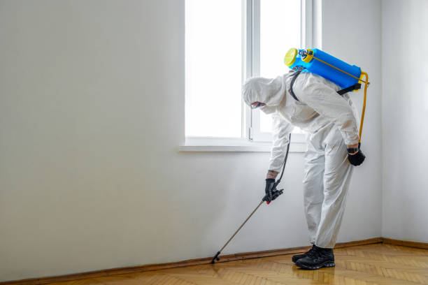 Best Termite Inspection and Treatment  in USA